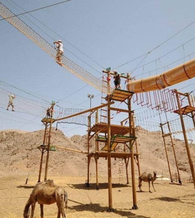 חוות הגמלים אילת